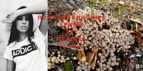 каннабис Алексин