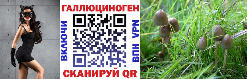 Псилоцибиновые грибы Cubensis  omg ссылка  Пролетарск  наркота 